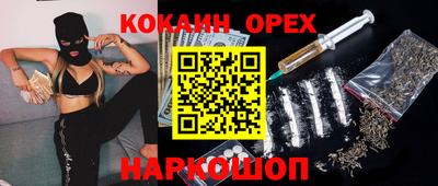 тгк Новозыбков