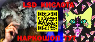 тгк Новозыбков