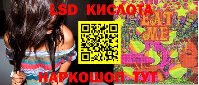 тгк Новозыбков