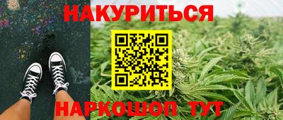 тгк Новозыбков