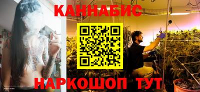 тгк Новозыбков