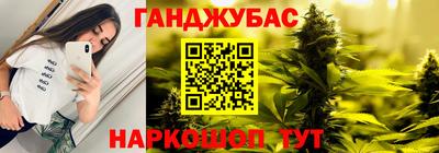 тгк Новозыбков