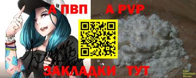 тгк Новозыбков