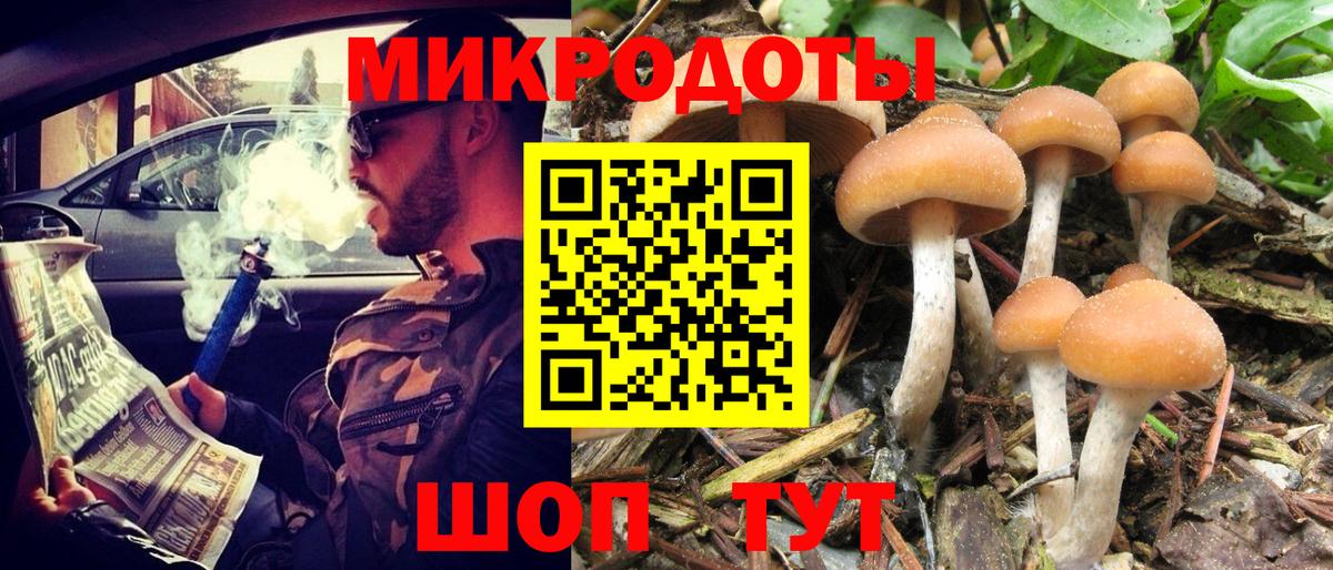 магазин    Псилоцибиновые грибы Cubensis  Галлюциногенные грибы мицелий  Вход с VPN  Томск 